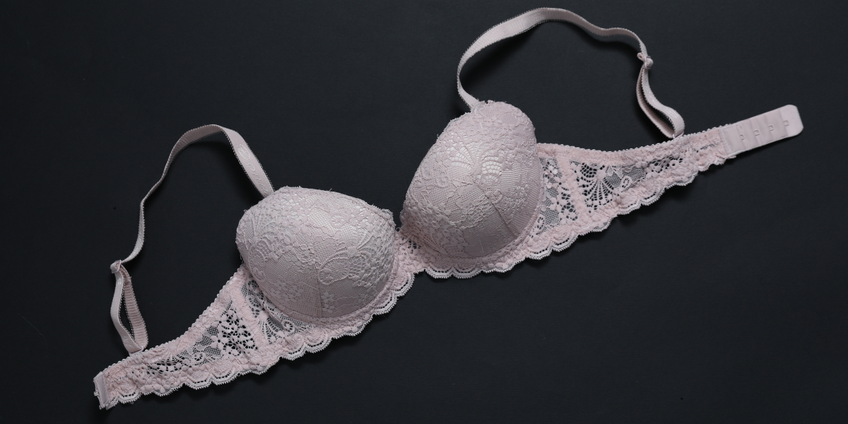 Why Pakistani Women Are Loving Fancy Net and Lace Bras