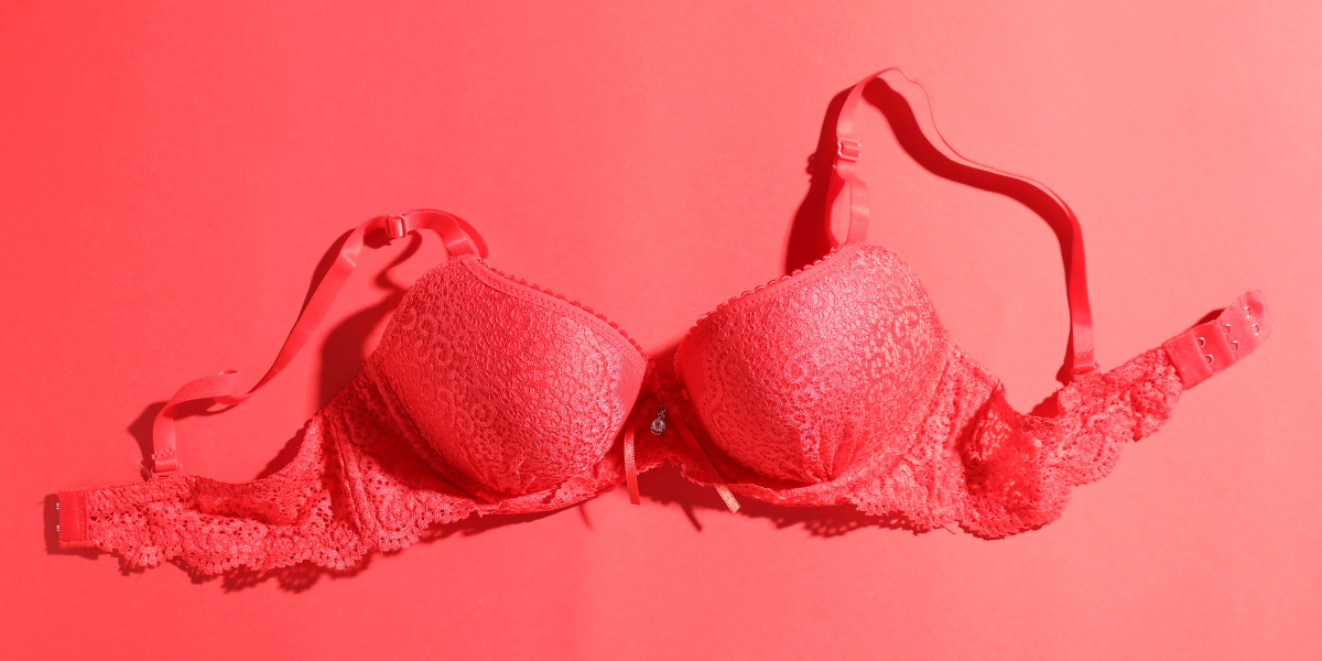 The Evolution of Fancy Bra Designs in Pakistan