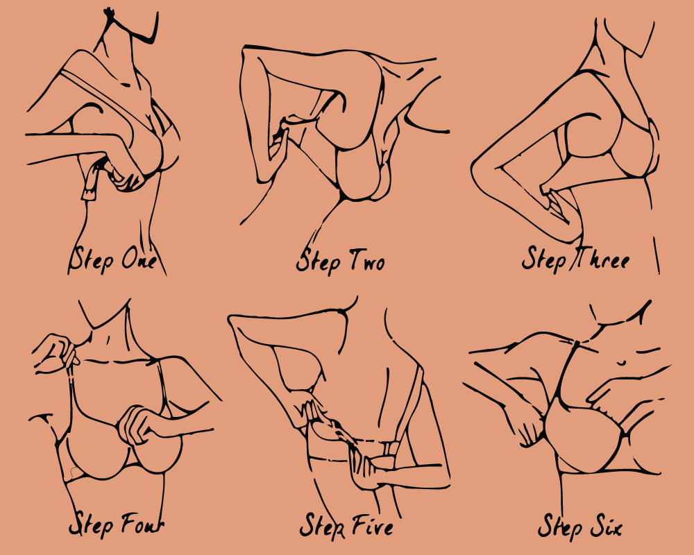 how to wear a bra (picture representation)
